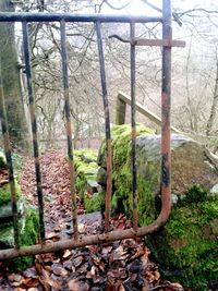 Footbridge in forest