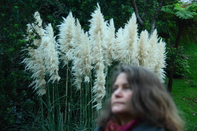 Mature woman standing against pampas grass on field