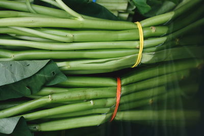 Bundle of watercress in water