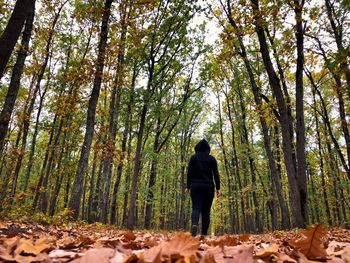 Back of woman wearing black tracksuit with hoodie standing alone in the middle of the forest 