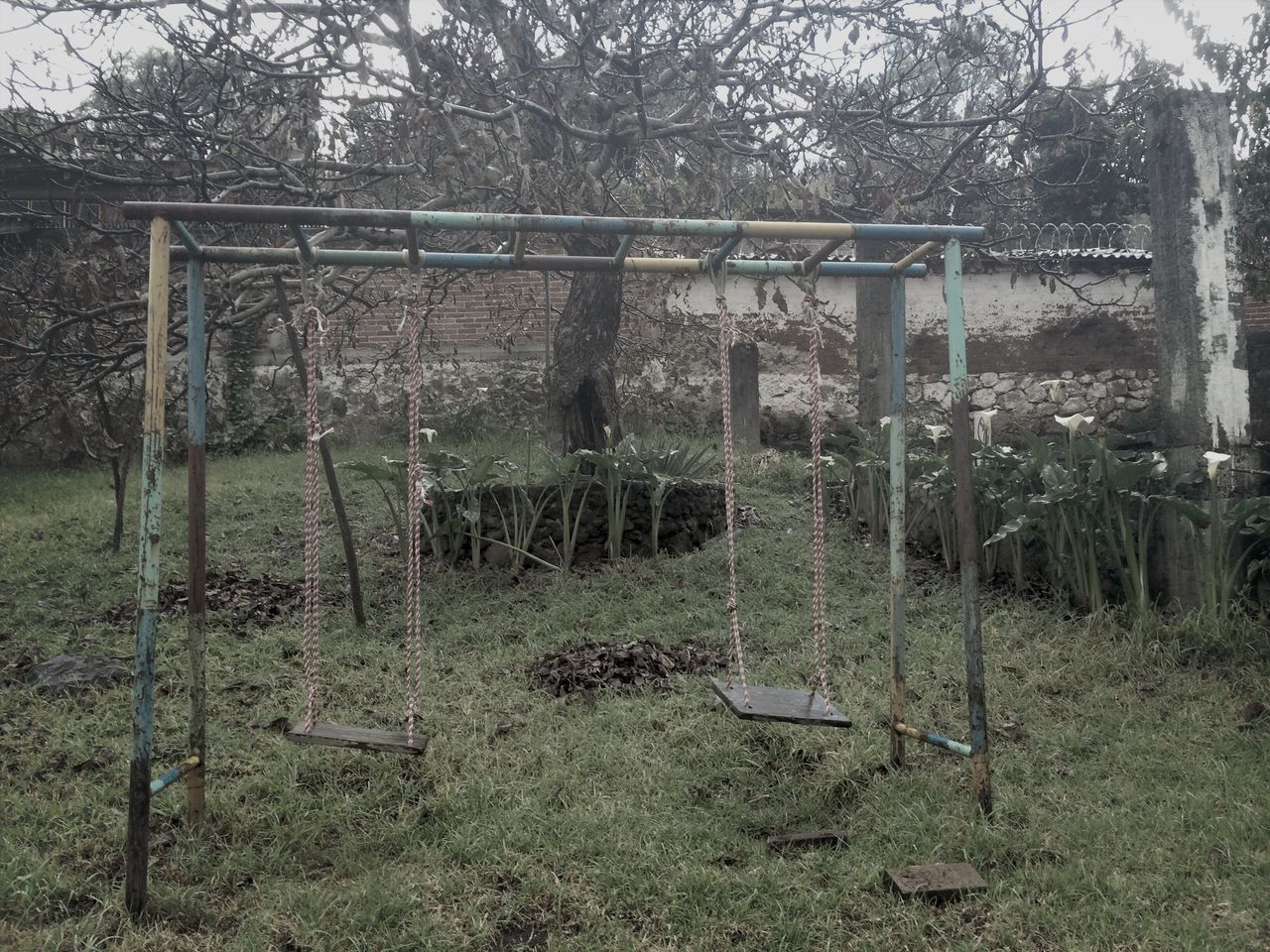 tree, abandoned, absence, built structure, wood - material, empty, obsolete, damaged, old, architecture, day, run-down, fence, metal, outdoors, no people, bench, grass, growth, nature