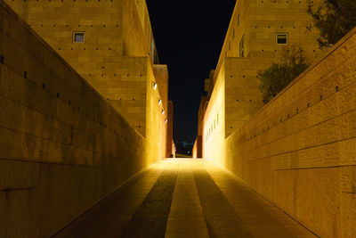 Empty alley amidst illuminated buildings in city at night
