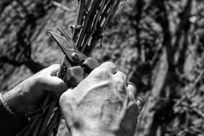 Close-up of man holding leaf