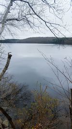 Reflection of trees in lake