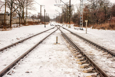 Railroad tracks amidst bare trees during winter