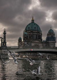 View of seagulls at building against cloudy sky