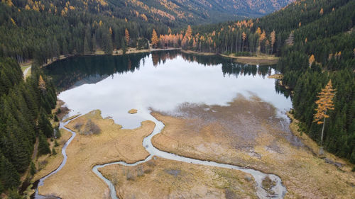 High angle view of lake amidst trees in forest