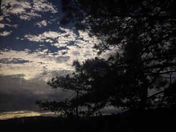 Silhouette of trees against sky