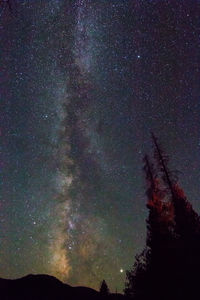 Low angle view of silhouette trees against sky at night