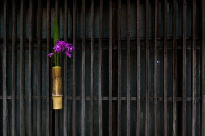 Flowering potted plant hanging by fence