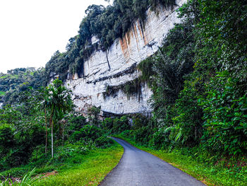 Road amidst trees and plants against sky