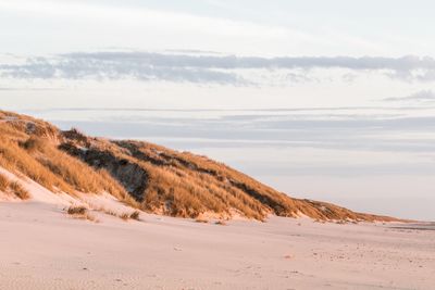 Scenic view of desert against sky