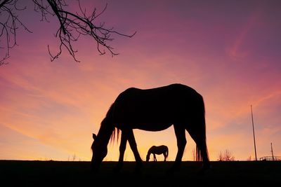 silhouette
