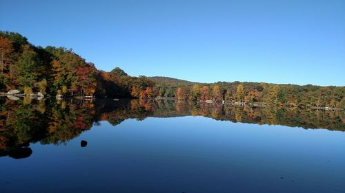 Reflection of trees in calm lake