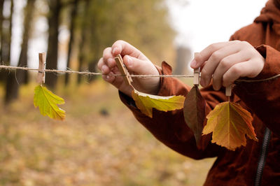 Autumn leaves hanging on wooden clothespins, autumn decor for halloween