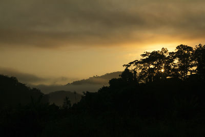 Silhouette of trees at sunset