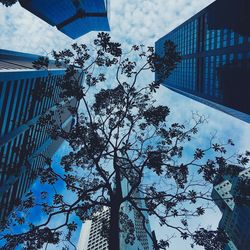 Low angle view of tree against sky