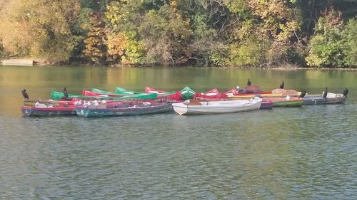 Boats in lake against trees