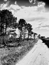 Dirt road amidst trees against sky