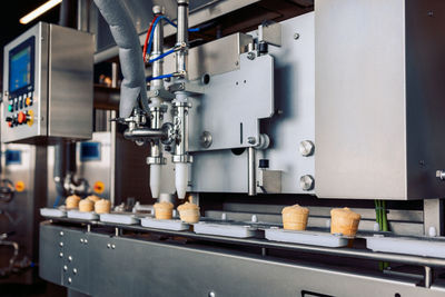 Manufacturin for automatic production of ice cream cones. conveyor belt in waffle cups, creme 