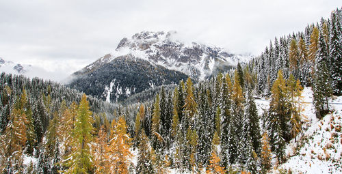 Scenic view of snow covered mountains