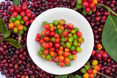 High angle view of fruits in bowl