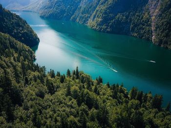 High angle view of trees in forest against sky