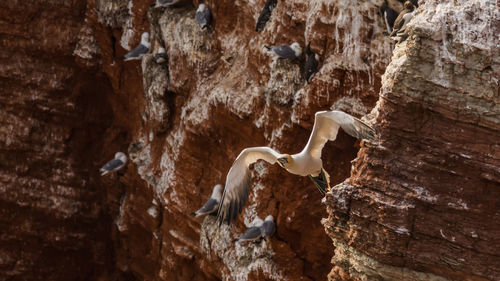 Close-up of rock formation in cave