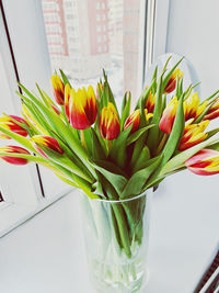 Close-up of tulips in vase on table