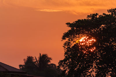 Low angle view of silhouette trees against sky during sunset