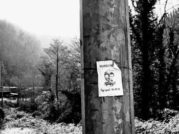 Information sign on tree trunk