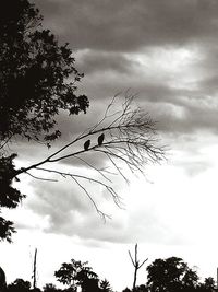 Low angle view of bare tree against cloudy sky