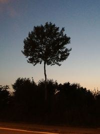 Silhouette tree on field against clear sky at sunset