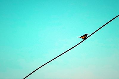 Low angle view of cables against clear blue sky