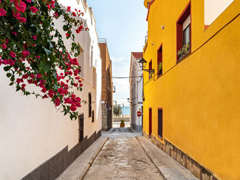 Narrow alley amidst buildings in city