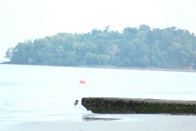 Scenic view of calm lake