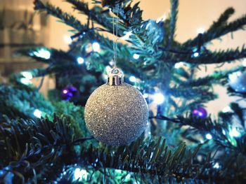 Close-up of christmas tree