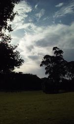 Silhouette trees on field against sky