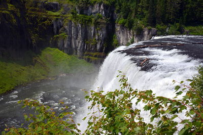 Scenic view of waterfall in forest