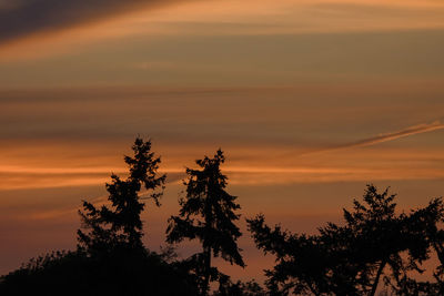 Silhouette trees against dramatic sky during sunset