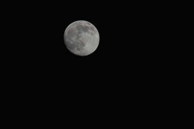 Low angle view of moon in sky