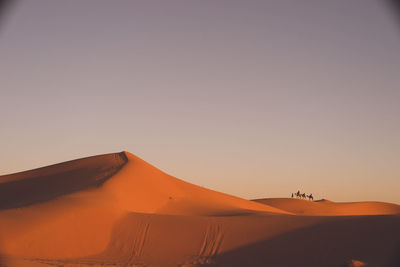 Scenic view of desert against clear sky during sunset