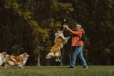 Woman catching ball and playing with dogs in park