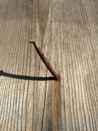 Close-up of wooden table