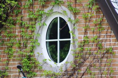 View of building through window