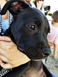 Close-up of person with dog