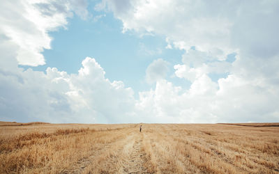 Scenic view of field against sky