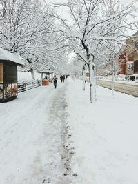 Snow covered road in city