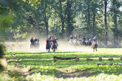 Group of people riding horses on field