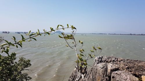 Scenic view of sea against clear sky